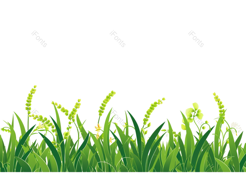 叶子图片,元素元素,卡通PNG,插画免抠素材